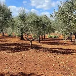 Σπίτι διακοπών Trulli Mari In Valle D'itria *