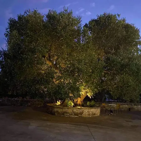 Trulli Mari In Valle D'itria *