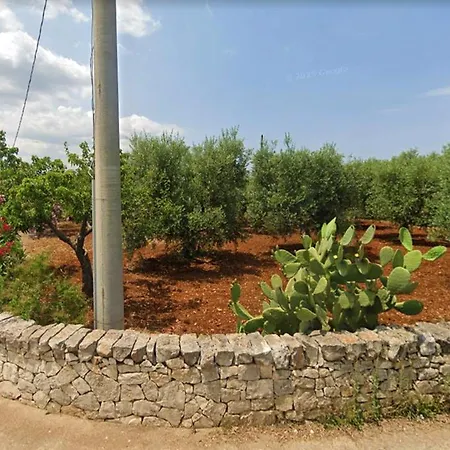 Trulli Mari In Valle D'itria *