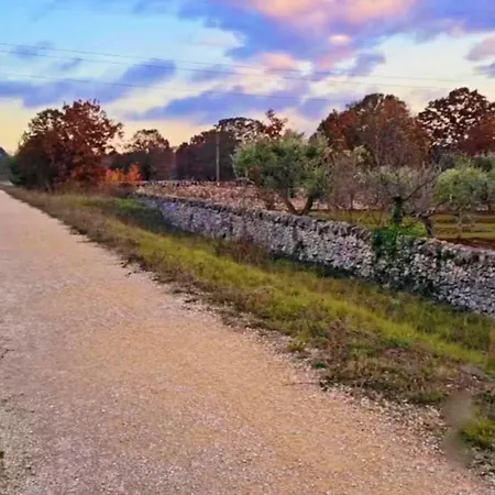 Trulli Mari In Valle D'itria