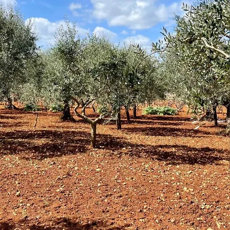Tatil Evi Trulli Mari In Valle D'itria *