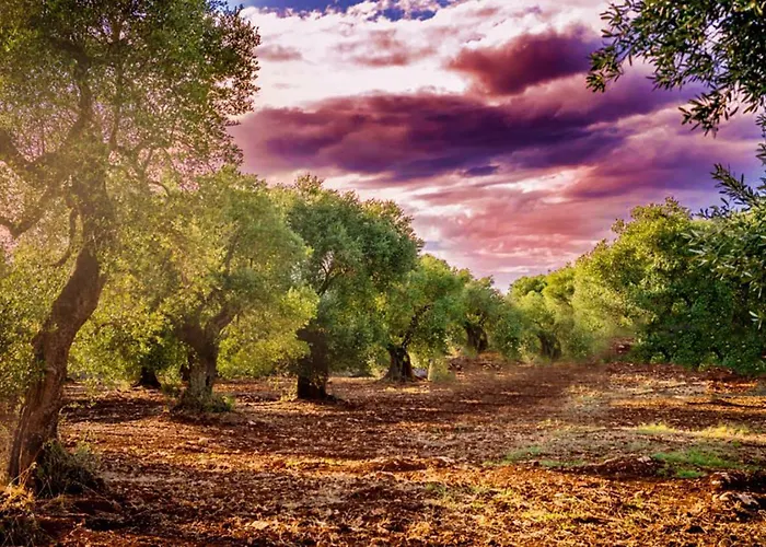 Trulli Mari In Valle D'itria *