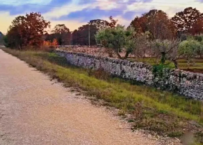 Trulli Mari In Valle D'itria